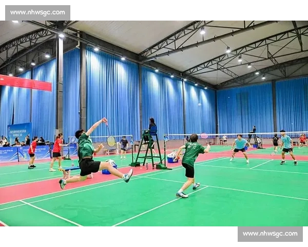 速度与技巧交锋的赛场聚焦全国羽毛球比赛发展新格局趋势 - 副本 (2) - 副本